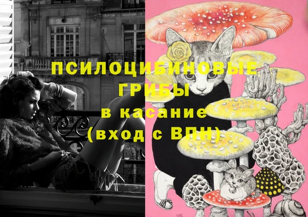 бошки Нея