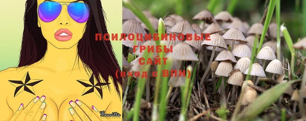 бошки Нея